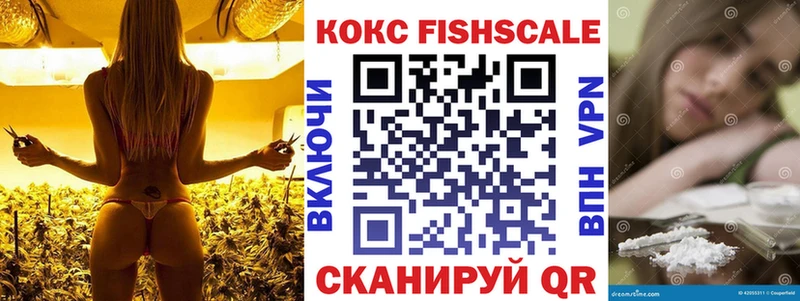 КОКАИН Fish Scale  Белебей 